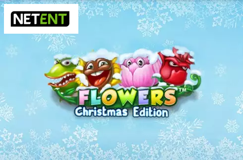 Flowers Christmas Edition